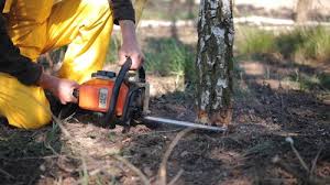 Best Lawn Irrigation Installation and Maintenance  in Dano, CO