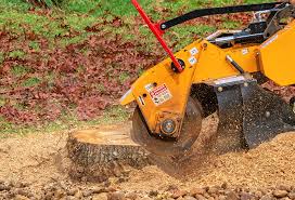 Best Lawn Watering Services  in Dano, CO